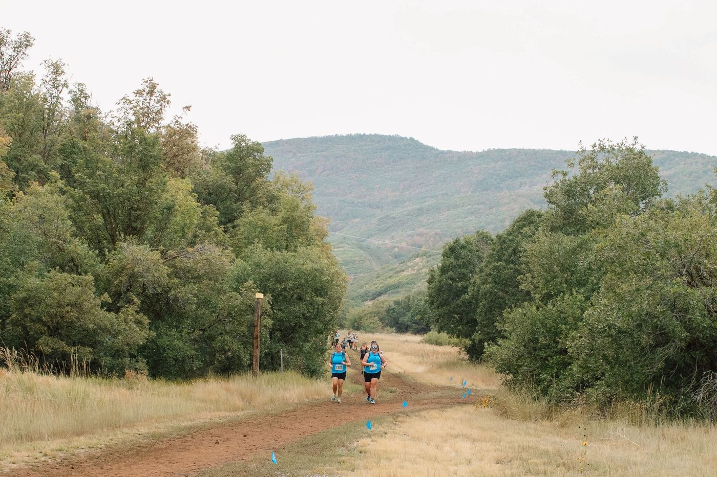 Runners spread out along a single dirt trail cutting across a grassy Utah hillside.